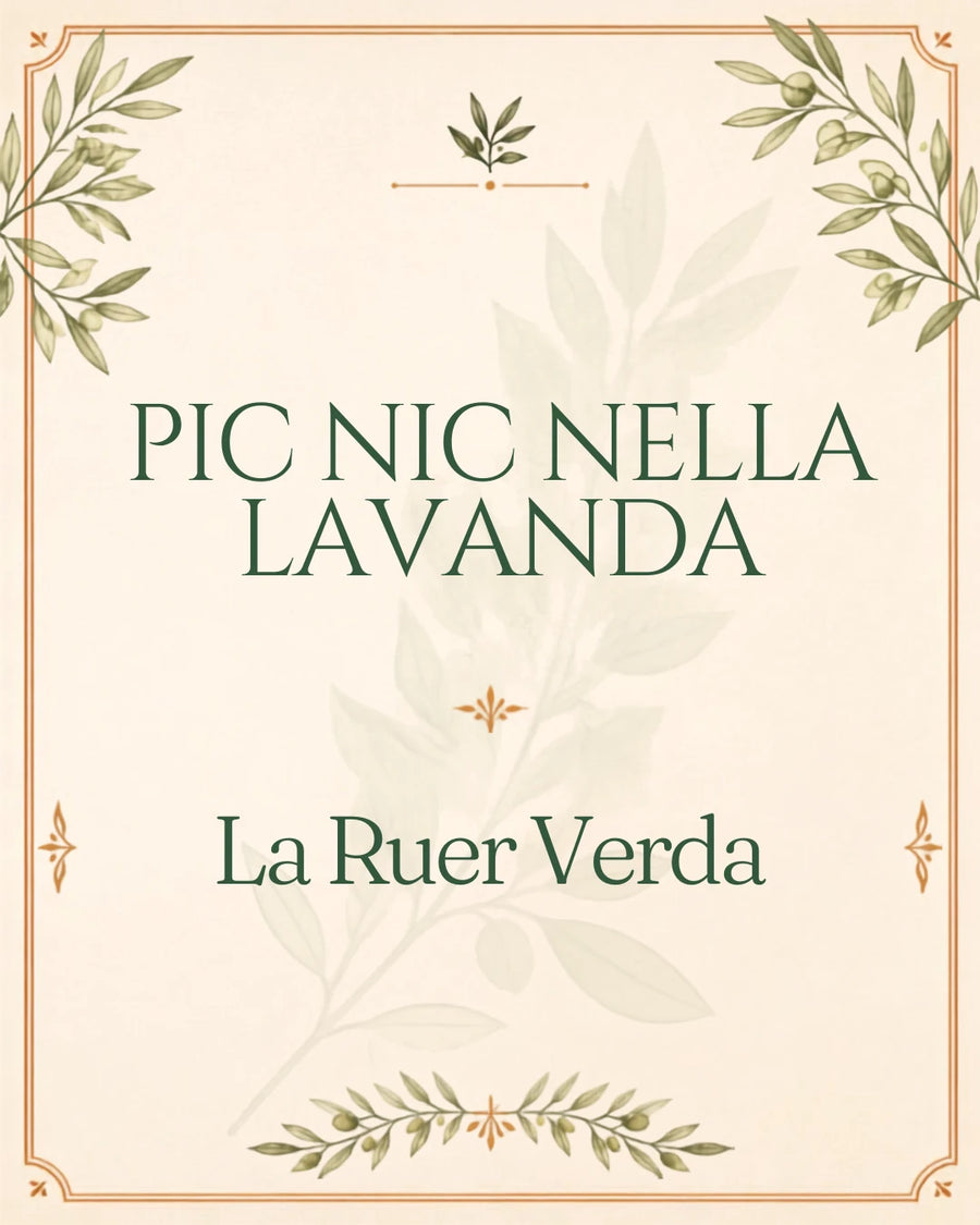 Pic Nic nella Lavanda